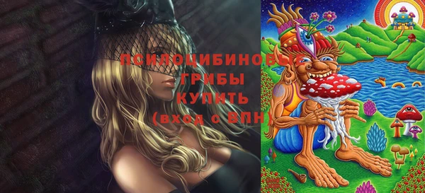 прущая мука Алзамай