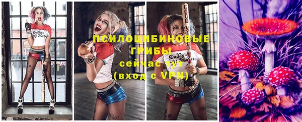 прущая мука Алзамай