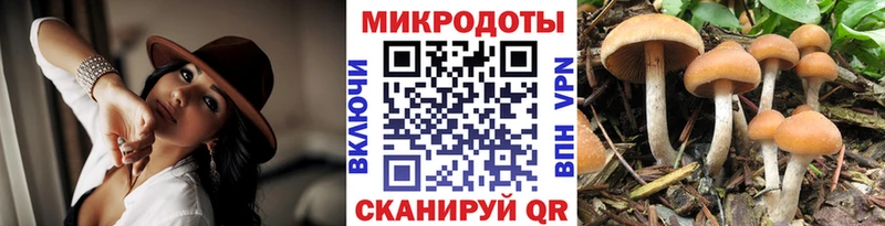 Галлюциногенные грибы прущие грибы  Алушта 