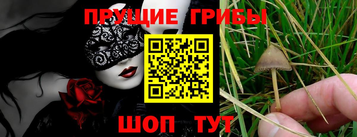 Псилоцибиновые грибы прущие грибы Алушта